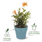 b.for original rond 16cm blanc